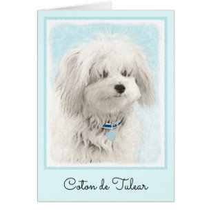 Coton de Tulear Painting - Cute Original Dog Art
