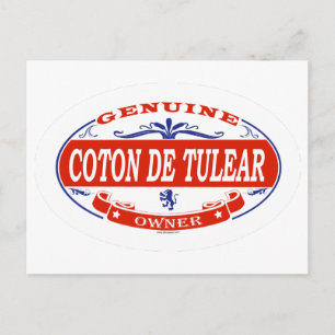 Coton De Tulear Postcard