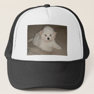 Coton_de_Tulear_puppy.png Trucker Hat