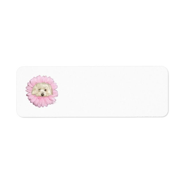 Coton de Tulear Springtime Flower Return Address Label (Front)