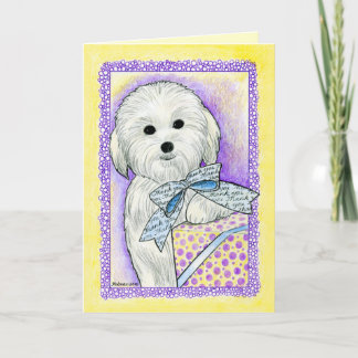 Coton de Tulear Thank You Card
