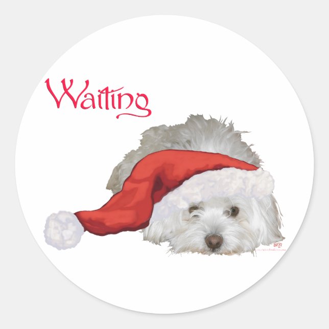Coton de Tulear - Waiting Classic Round Sticker (Front)