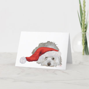 Coton de Tulear - Waiting Holiday Card