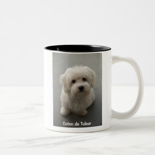 Coton Mug (Right)