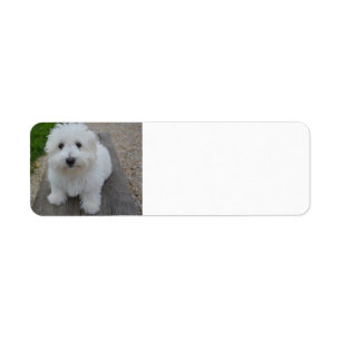 coton on bench return address label