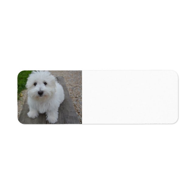coton on bench return address label (Front)