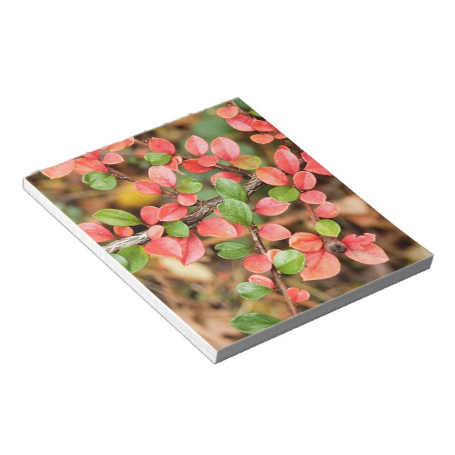 Cotoneaster horizontalis notepad (Angled)
