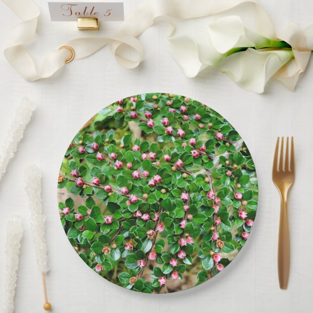 Cotoneaster horizontalis Paper Plate (Wedding)