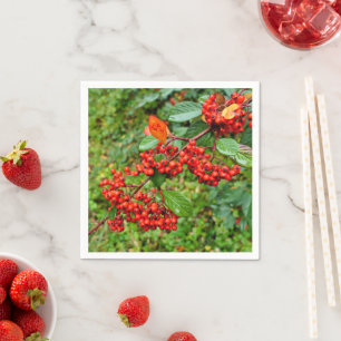 Cotoneaster lacteus Paper Napkins