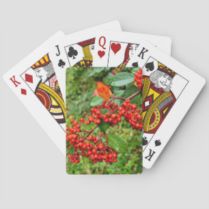 Cotoneaster lacteus playing cards