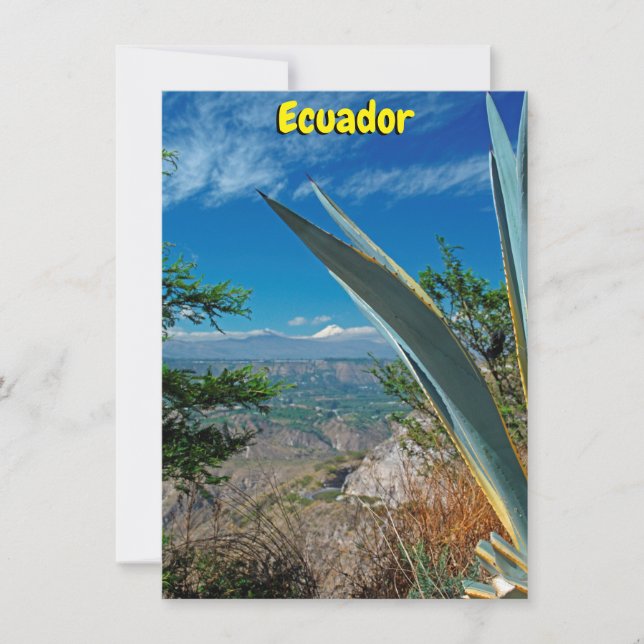Cotopaxi volcano, Ecuador Card (Front)