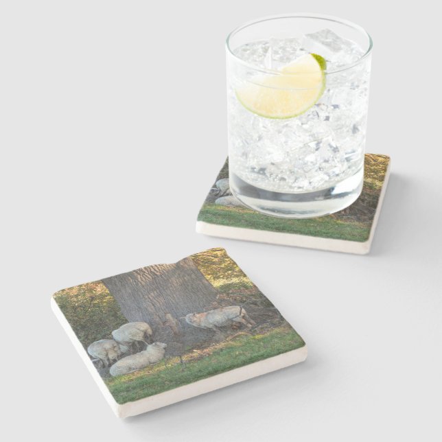 Cotswold Sheep Stone Coaster (Side)
