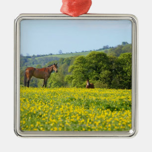 Cotswolds, UK Metal Ornament