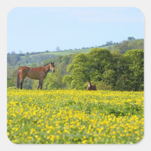 Cotswolds, UK Square Sticker