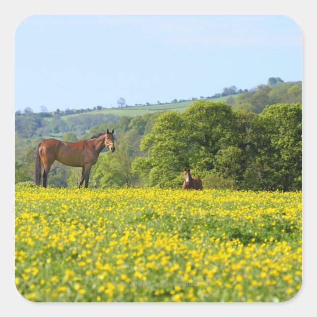 Cotswolds, UK Square Sticker (Front)