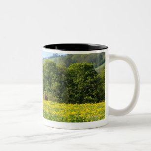 Cotswolds, UK Two-Tone Coffee Mug