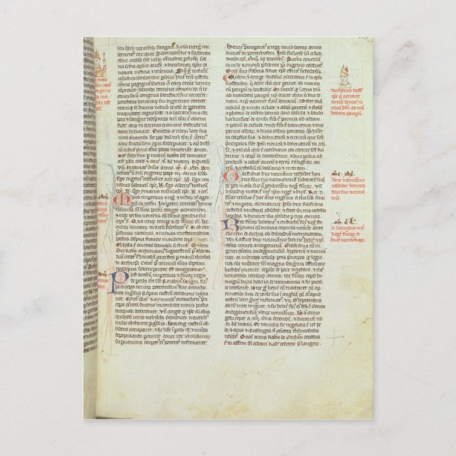 Cott Nero D II f.114 Adrian IV Postcard (Front)