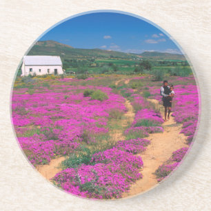 Cottage, Flowers And Girl, Near Kamieskroon Coaster