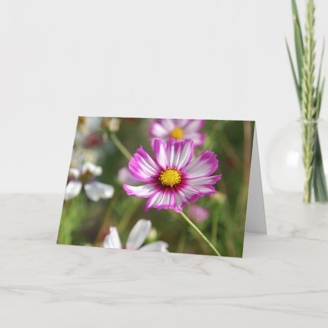 Cottage garden, Rosalinde Card (Front)