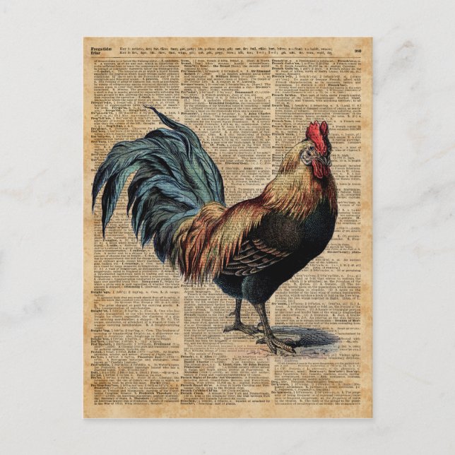 Cottage Rooster Vintage Dictionary Book Page Postcard (Front)