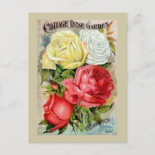 Cottage Rose Garden Advertisement Postcard (Front)