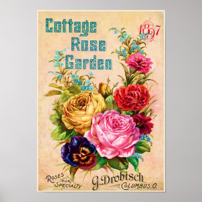 Cottage Rose Garden Vintage Advertisement Poster (Front)
