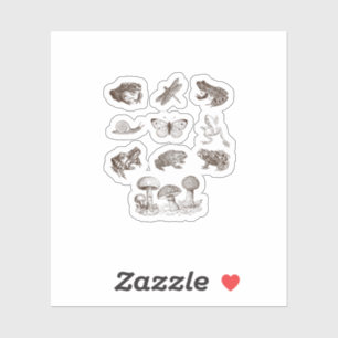 Cottagecore Aesthetic Mushroom Academia Frog Gobli