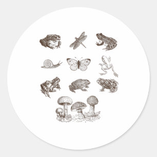 Cottagecore Aesthetic Mushroom Academia Frog Gobli Classic Round Sticker