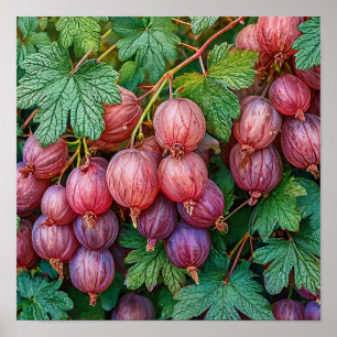 Cottagecore Gooseberry Botanical Fruit Wall Art
