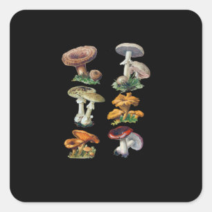 Cottagecore Mushrooms Goblincore Aesthetic Mushroo Square Sticker