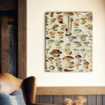 Cottagecore Mushrooms Vintage Naturalist Faux Canvas Print<br><div class="desc">Cottagecore Mushrooms Vintage Naturalist</div>