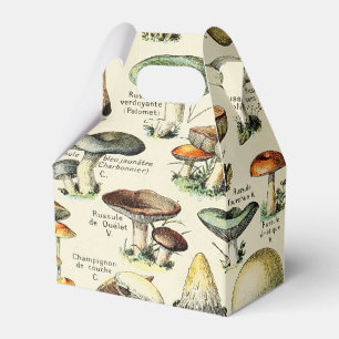 Cottagecore Mushrooms Vintage Naturalist Favour Box