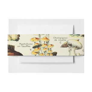 Cottagecore Mushrooms Vintage Naturalist Invitation Belly Band