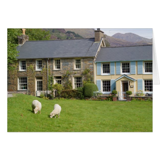 Cottages, Beddgelert, Gwynedd, Wales (Front Horizontal)