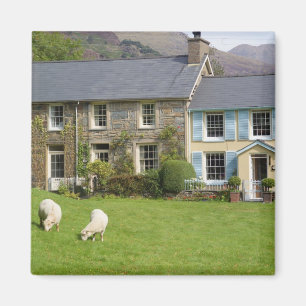 Cottages, Beddgelert, Gwynedd, Wales Magnet