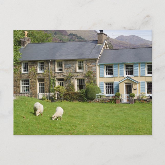 Cottages, Beddgelert, Gwynedd, Wales Postcard (Front)