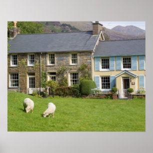 Cottages, Beddgelert, Gwynedd, Wales Poster