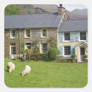 Cottages, Beddgelert, Gwynedd, Wales Square Sticker