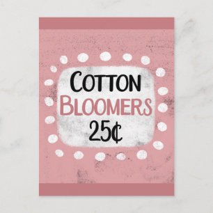 Cotton Bloomers 25 Cents Postcard