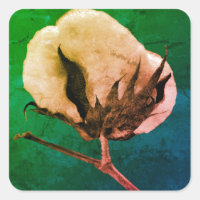 Cotton Boll Sticker