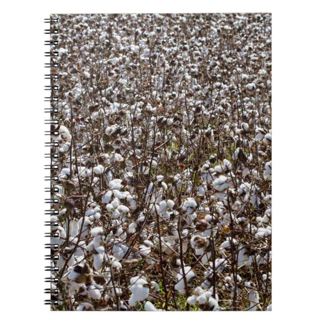 Cotton Crops Field Notebook (Front)