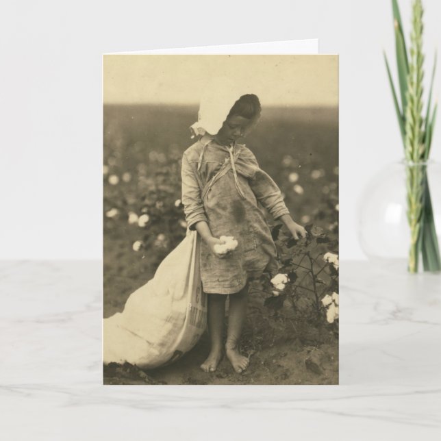 Cotton Field Card (Front)