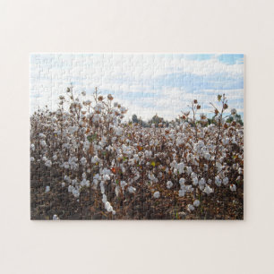 Cotton Field Missouri. Jigsaw Puzzle