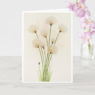Cotton flowers card