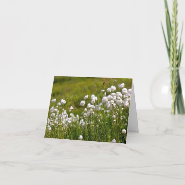 Cotton Grass Meadow - 4" x 5.6" Notecard (Front)