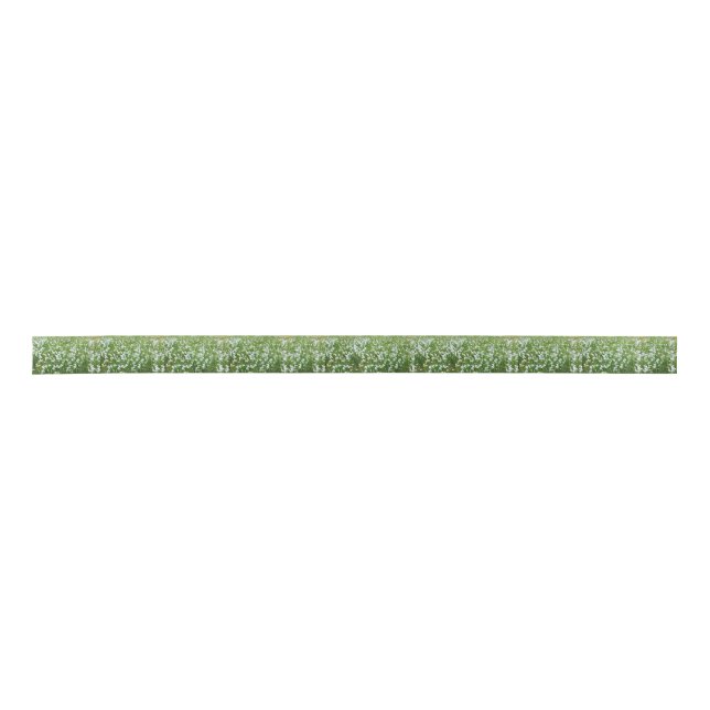Cotton grass satin ribbon (Front)