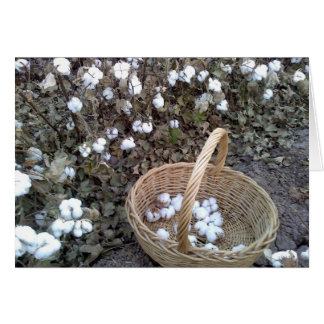Cotton Pickin' Basket