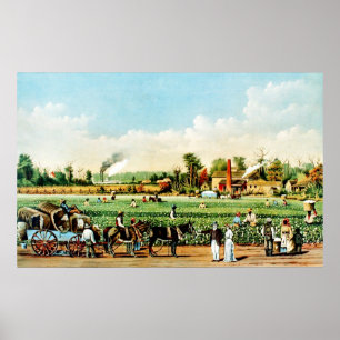 Cotton Plantation in Mississippi Poster