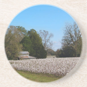 Cotton Series--Barn behind cotton field Coaster