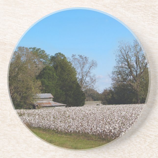 Cotton Series--Barn behind cotton field Coaster (Front)